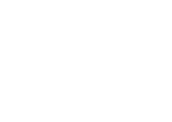 Potência Consórcios